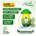 Mushroomex Mushroom Powder (100gm Each) thumbnail