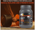 Muscleblaze Biozyme Whey PR Molten Chocolate Cake thumbnail