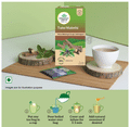 Organic India Tulsi Mulethi Green Tea thumbnail