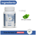 Baidyanath Ayurvedant Brahmi Churna thumbnail