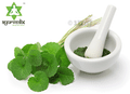 Ayurvedix Gotu Kola Powder thumbnail