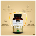 StemRx Kidney Armour Capsule for Kidney, Detox & Bladder thumbnail