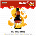 Haemocal Plus Syrup Minty Orange thumbnail