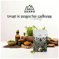Zespo Astragalus Root Powder thumbnail