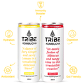 Tribe Kombucha Combo Pack of Probiotic Sparkling Super Drink Ginerade & Hibis-Kiss (250ml Each) thumbnail