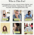 The biohackers Co. Ashwagandha | Adaptogen Support Capsule thumbnail