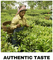 Caffeinators Tea Instant Premix Chai Masala thumbnail