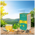 TeaNourish Green Tea Bag Lemon Tulsi thumbnail