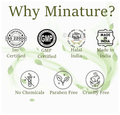 Minature Matcha Green Tea thumbnail
