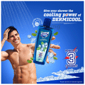 Dermi Cool Ice Cool Shower Gel (250ml Each) thumbnail