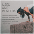 Althealth Multivitamin for Adults Tablet thumbnail
