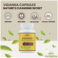 Vansattva Vidanga Capsule thumbnail