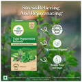 Organic India Tea for Immunity, Antioxidant Support & Stress Relief | Flavour Tulsi Peppermint Refresh Green Tea thumbnail