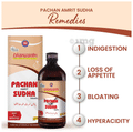 Dhanwantri Pharmaceutical Pachan Amrit Sudha Meetha thumbnail