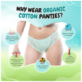SochGreen Organic Bikni Everyday Undies. Greenfig Medium thumbnail