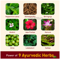 Navratna Cool Ayurvedic Oil | Relieves, Relaxes & Rejuvenates the Body, Mind & Scalp thumbnail