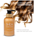 Beauty Garage Combo Pack of Shea Retention Treatment Shampoo (300ml), Retention Treatment Conditioner (300ml) & Retention Treatment Hair Oil (50ml) thumbnail