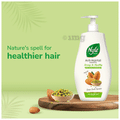 Nyle Natural Anti-Hairfall Shampoo Strong & Healthy thumbnail