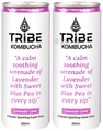Tribe Kombucha Probiotic Sparkling Super Drink (250ml Each) Lavender Love thumbnail