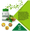 Jayshankar Ayurved Moringa Drumstick Powder thumbnail