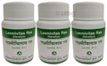 Dhanvantari Laxmivilas Ras (60 Each) thumbnail