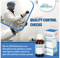 LDD Bioscience Phellandrium Dilution CM thumbnail