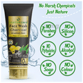 Earthgenix Charcoal & Lemon Zest Face Wash with Pro-Vitamin B5 thumbnail