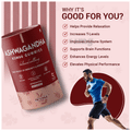 Nirvasa Ashwagandha KSM66 Gummies (60 Each) thumbnail