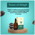 Balance Ayurveda The Balance Immunity Drops thumbnail