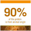 Farmina Pet Foods N&D Ancestral Grain for Puppy Medium & Maxi Breed thumbnail