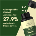 Rasayanam Ashwagandha KSM 66 500mg Capsule thumbnail