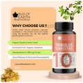 Bliss of Earth Tribulus Terrestris 500mg Capsule thumbnail
