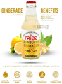 Tribe Kombucha Naturally Sparkling Probiotic Drink Gingerade (210ml Each) Ginger & Lemon thumbnail