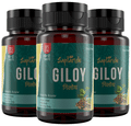 Saptarishi Giloy Tablet (72 Each) thumbnail