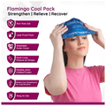 Flamingo HC-1010 Cool Pack Large thumbnail