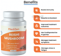 MediZen Reishi Mushroom Tablet thumbnail