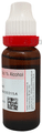 Dr. Reckeweg Cantharis Dilution 7X thumbnail