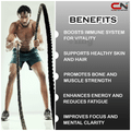 Core Nutrition Core Multi + Test Tablet thumbnail