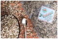 Nature Vit Raw Seeds Mix thumbnail