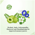 Swadeshi Ayurved Memory + Ras thumbnail