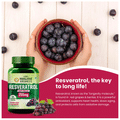 Vlado's Himalayan Organics Resveratrol Grape Seed Extract Vegetarian Capsule thumbnail