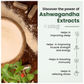 Ayuvya Ashwagandha Capsules Stress Relief, Energy Booster, Immunity Support & Muscle Strength Capsule thumbnail