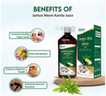Swadeshi Ayurved Jamun Neem Karela Juice thumbnail