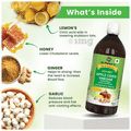 Dr. Patkar's Apple Cider Vinegar Garlic, Ginger, Lemon and Honey with the Mother (500ml Each) thumbnail