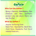 Green Quirs Combo Pack of Flexido Gel & Gopain Gel (100gm Each) thumbnail
