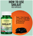 Morpheme Shilajit Capsule thumbnail