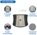 Tata 1mg Lumbar Sacral Belt for Lower Back Support Large thumbnail