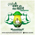 Mushroomex Mushroom Powder (100gm Each) thumbnail