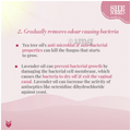 SheNeed 24 Hr Odour Control Feminine Intimate | Rescue from leakage & UTI Cream thumbnail