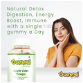 Gummsi Combo Pack of Apple Cider Vinegar Green Apple Gummies (30 Each) thumbnail
